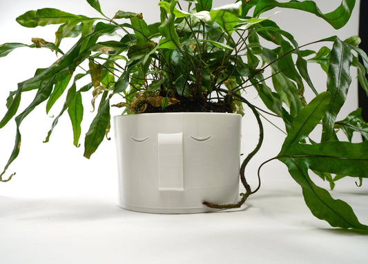 Nordic Face Planter, Bohemian House Planters, 3D Printed Pla