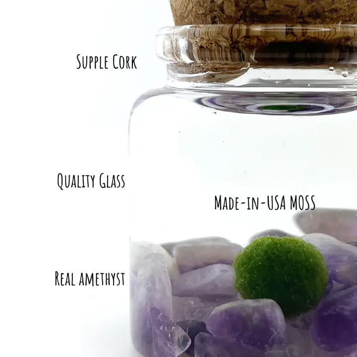 Small Amethyst Gemstone Moss Ball Terrarium