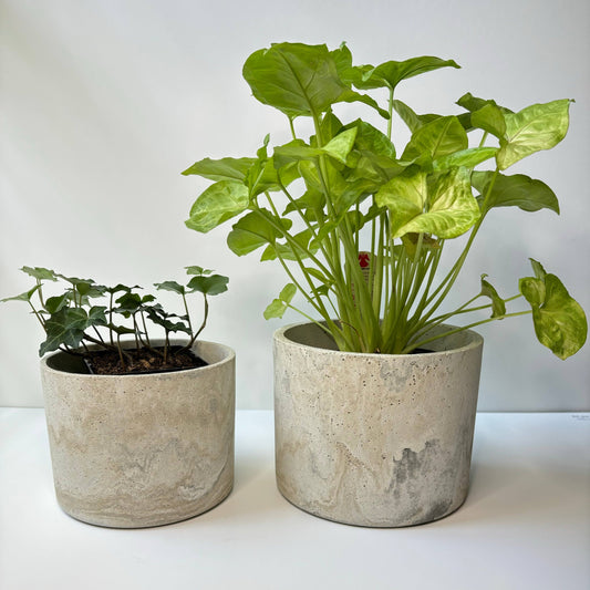 Hera Planter - Concrete
