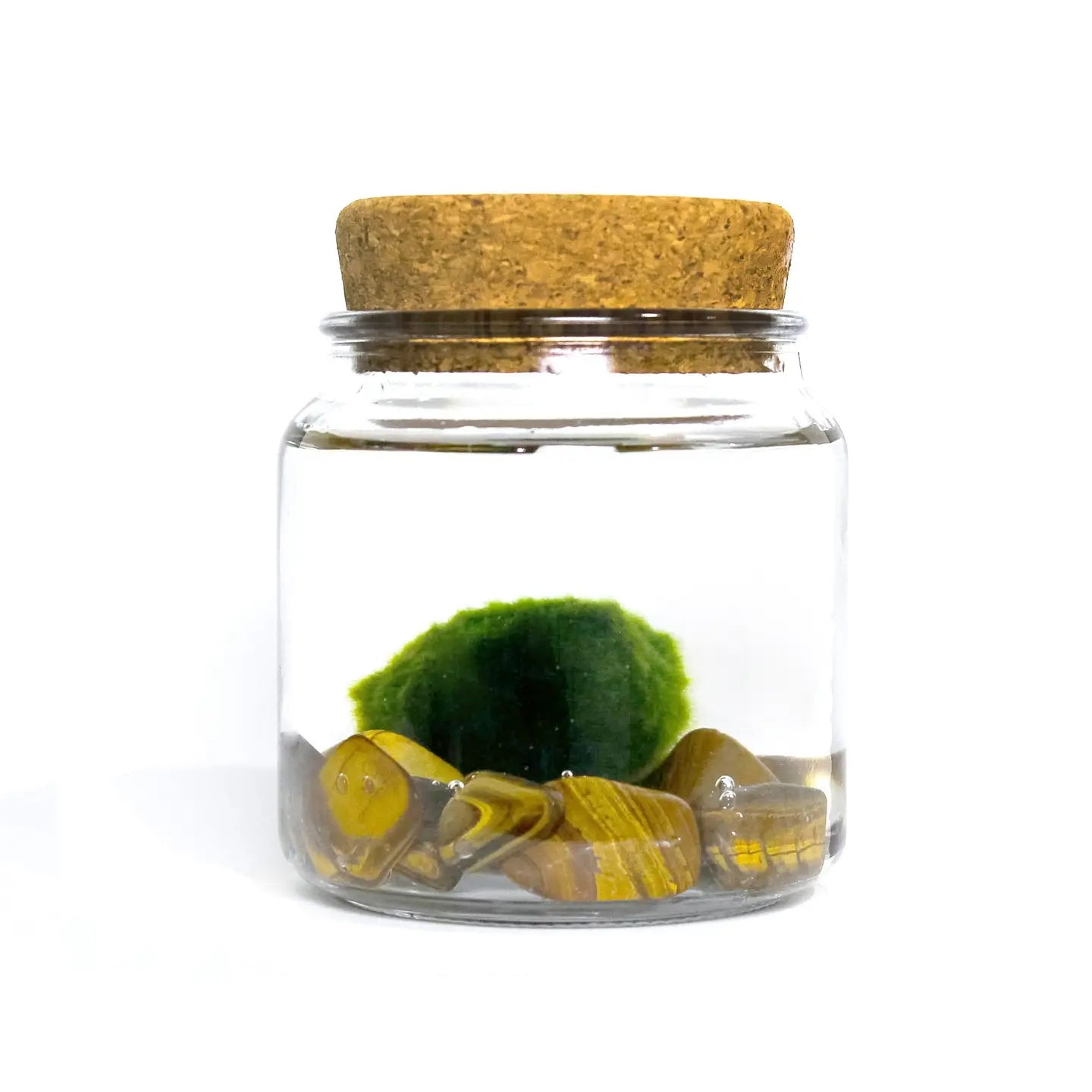Large Tiger Eye Moss Ball Terrarium