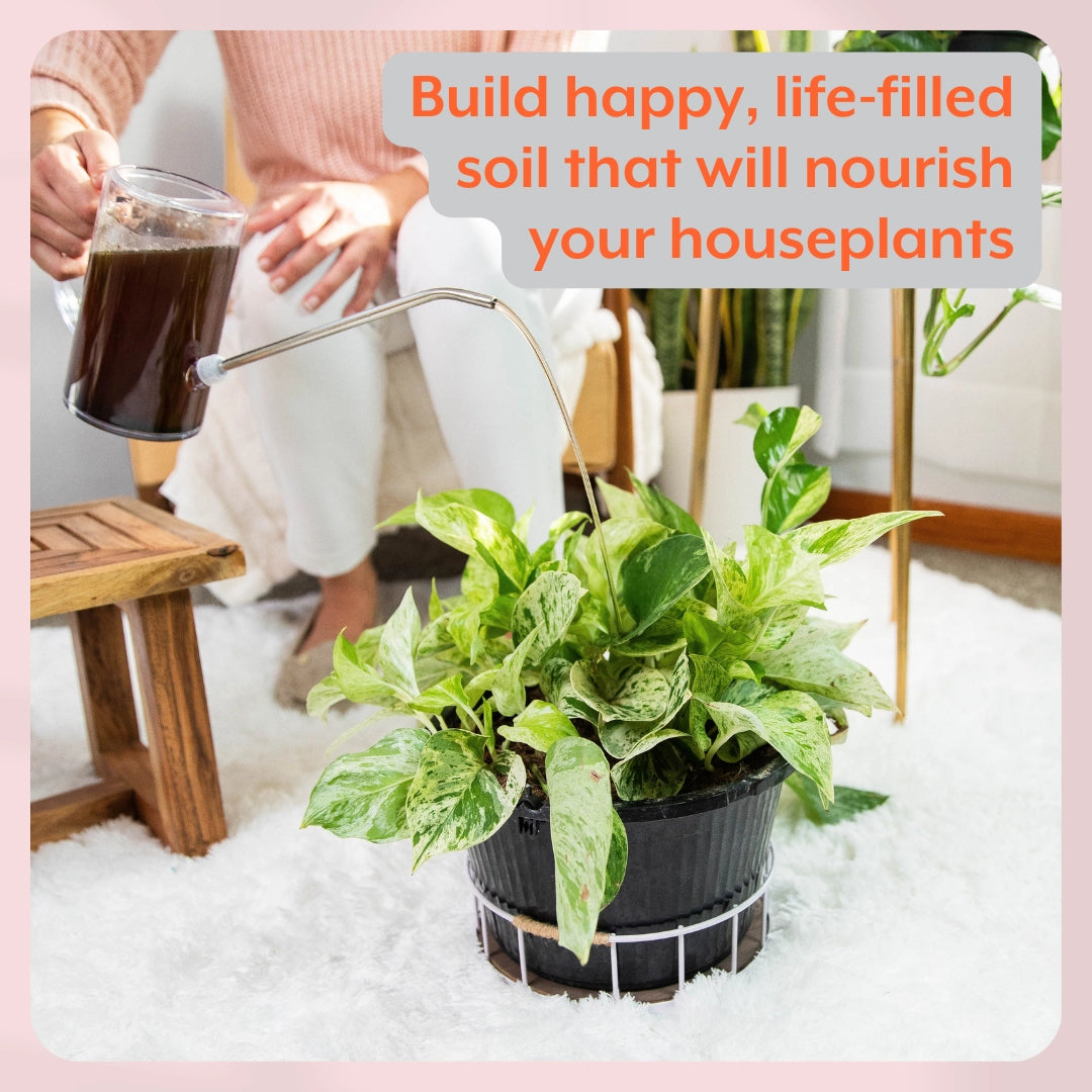 Instant Plant Support