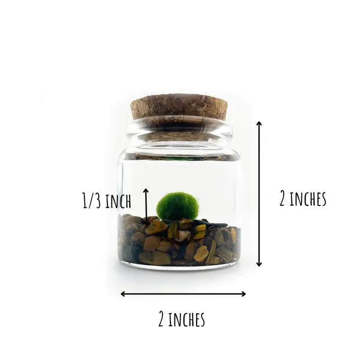 Small Tiger Eye Moss Ball