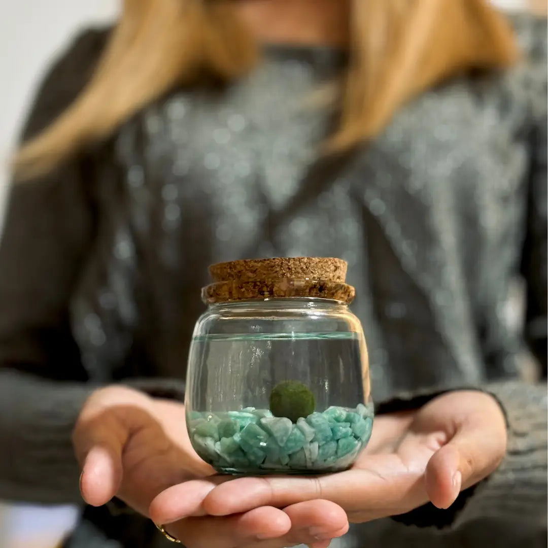Medium Aventurine Gemstones Moss Ball Terrarium