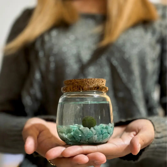 Medium Aventurine Gemstones Moss Ball Terrarium