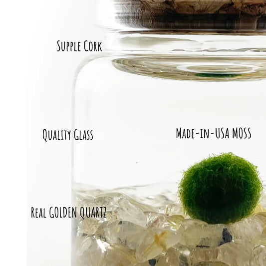 Small Golden Quartz Moss Ball Terrarium