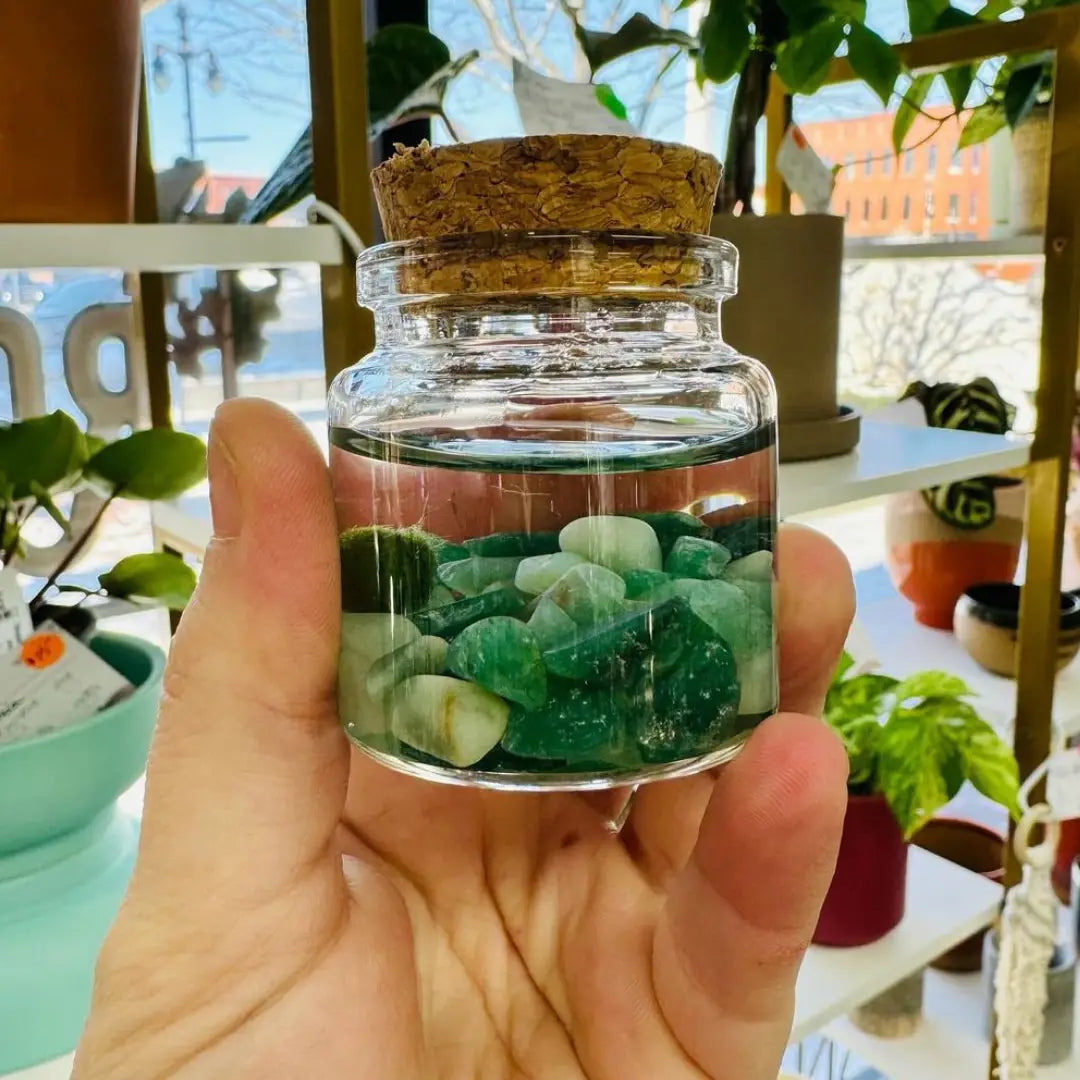 Small Amazonite Moss Ball Terrarium