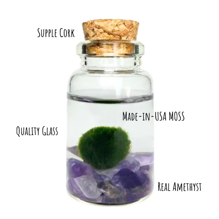 Tiny Amethyst Gemstones Moss Ball Terrarium