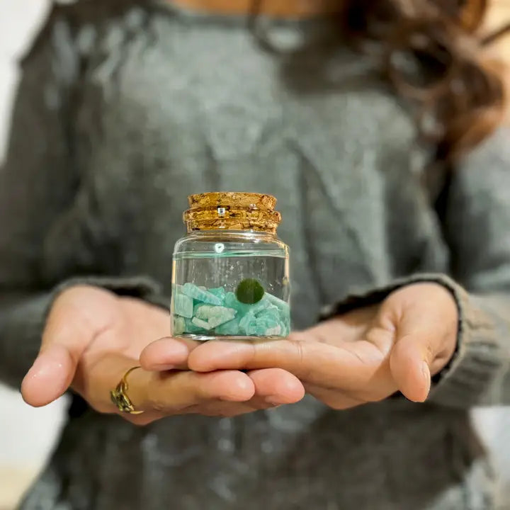 Small Aventurine Moss Ball Terrarium