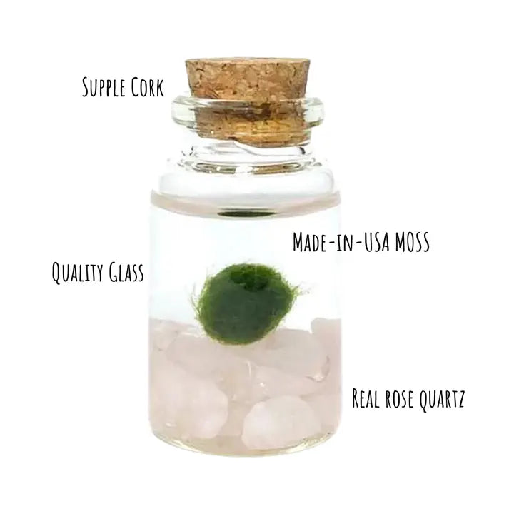 Tiny Rose Quartz Gemstone Moss Ball Terrarium