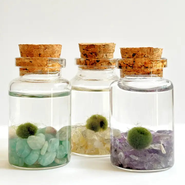 Tiny Amazonite Gemstones Moss Ball Terrarium