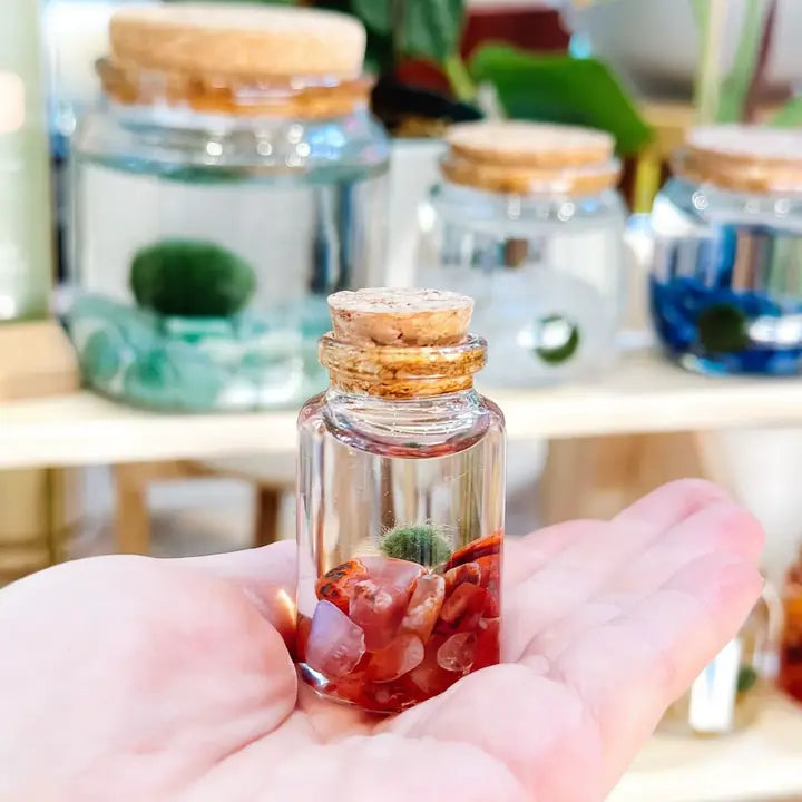 Tiny Carnelian Gemstones Moss Ball Terrarium