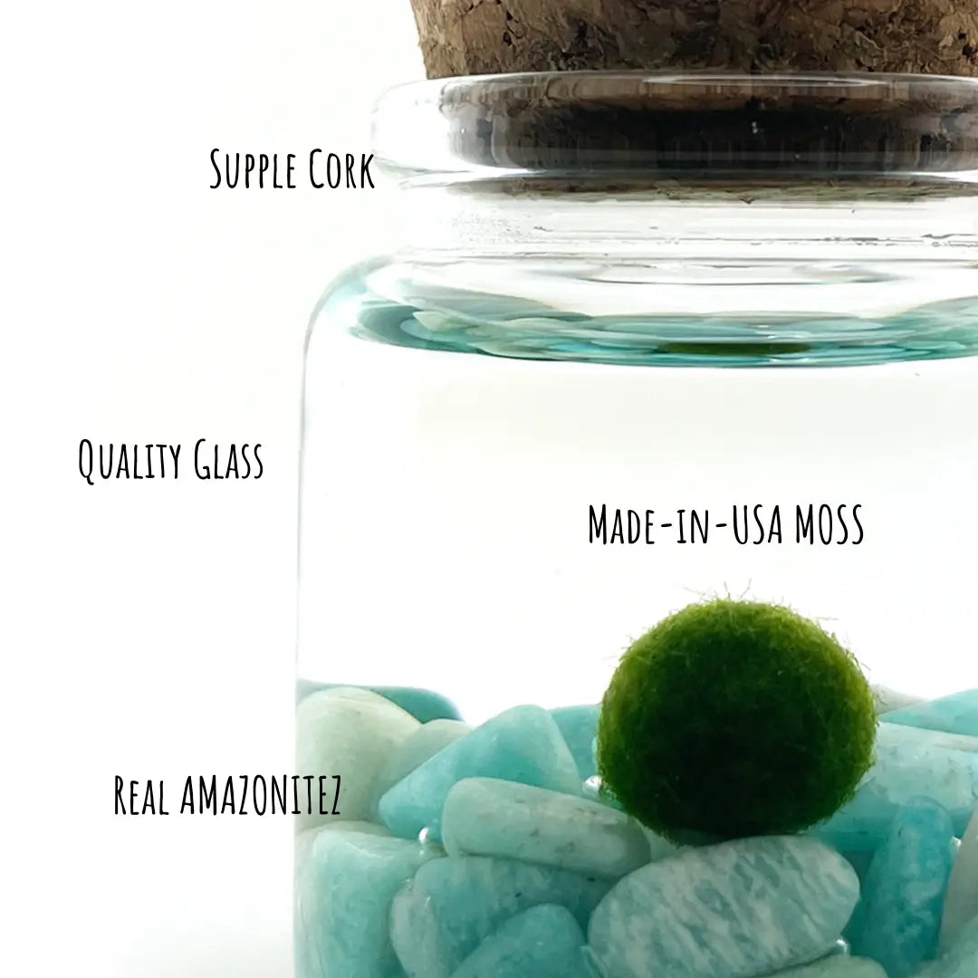 Small Amazonite Moss Ball Terrarium