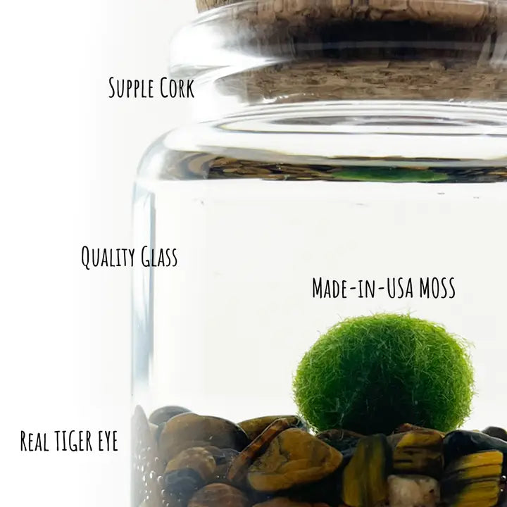 Small Tiger Eye Moss Ball