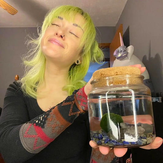 Large Lapis Lazuli Moss Ball Terrarium