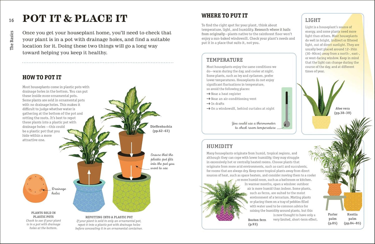 How to Make Your Houseplants Love You