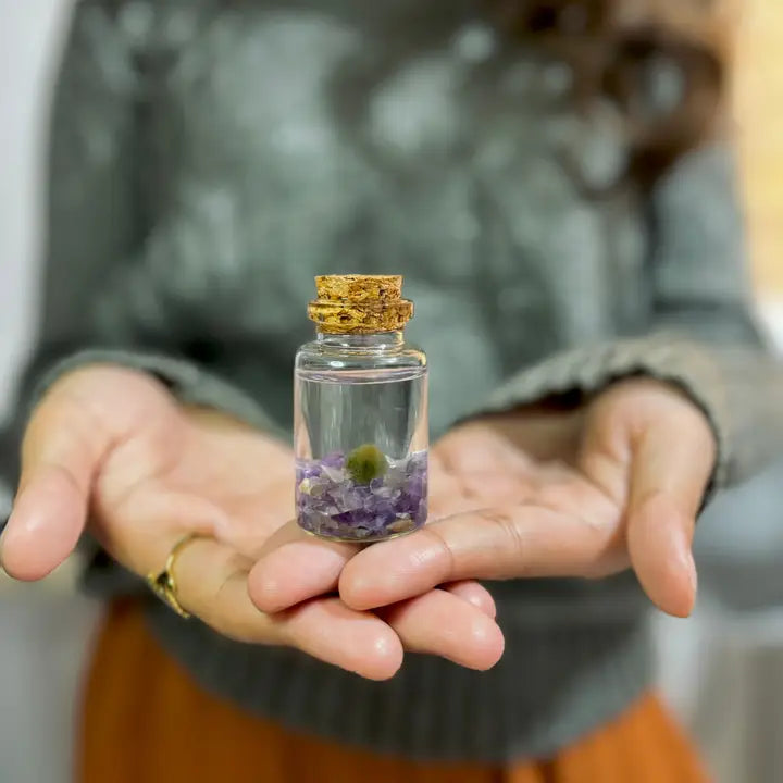 Tiny Amethyst Gemstones Moss Ball Terrarium