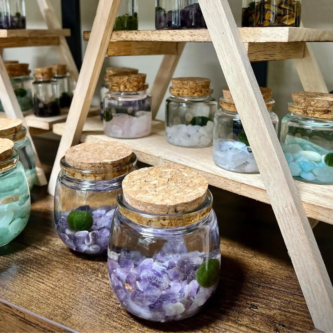 Medium Amethyst Gemstones Moss Ball Terrarium