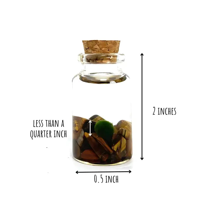 Tiny Tiger Eye Gemstone Moss Ball Terrarium
