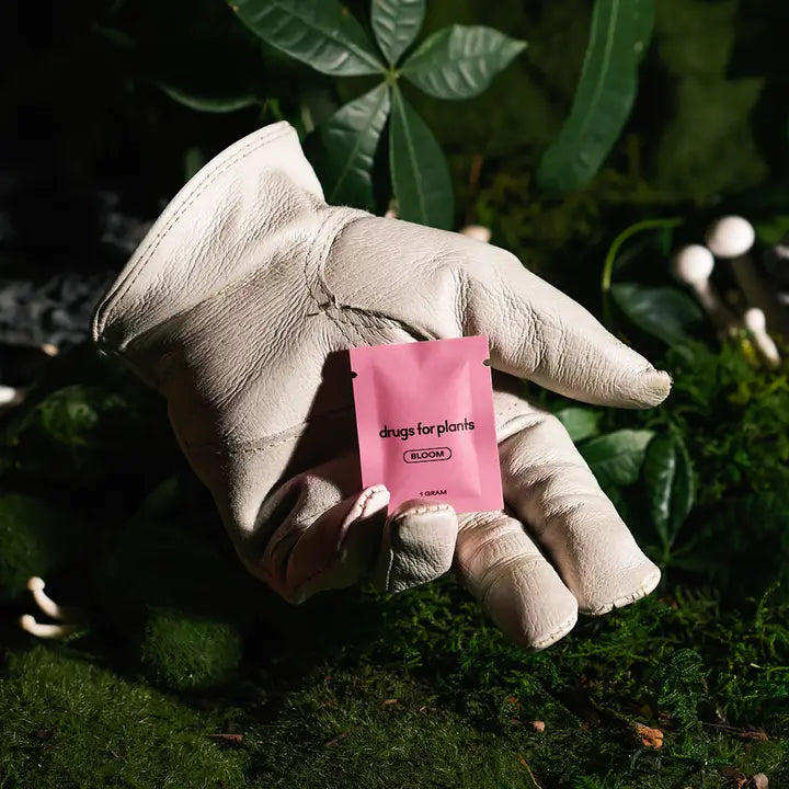 Drugs for Plants - Bloom 1 gram