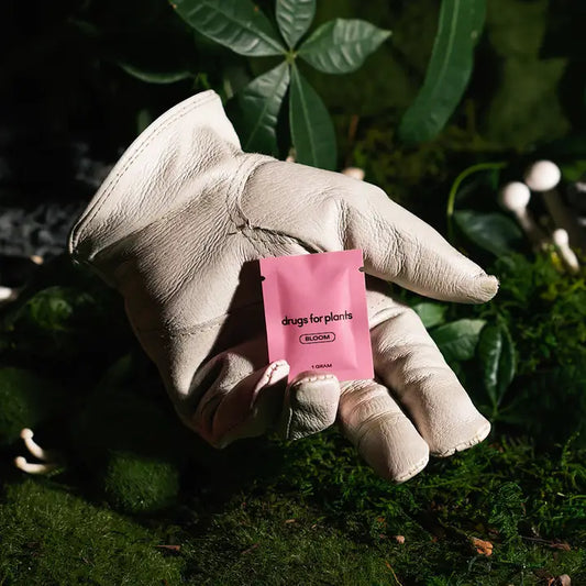 Drugs for Plants - Bloom 1 gram