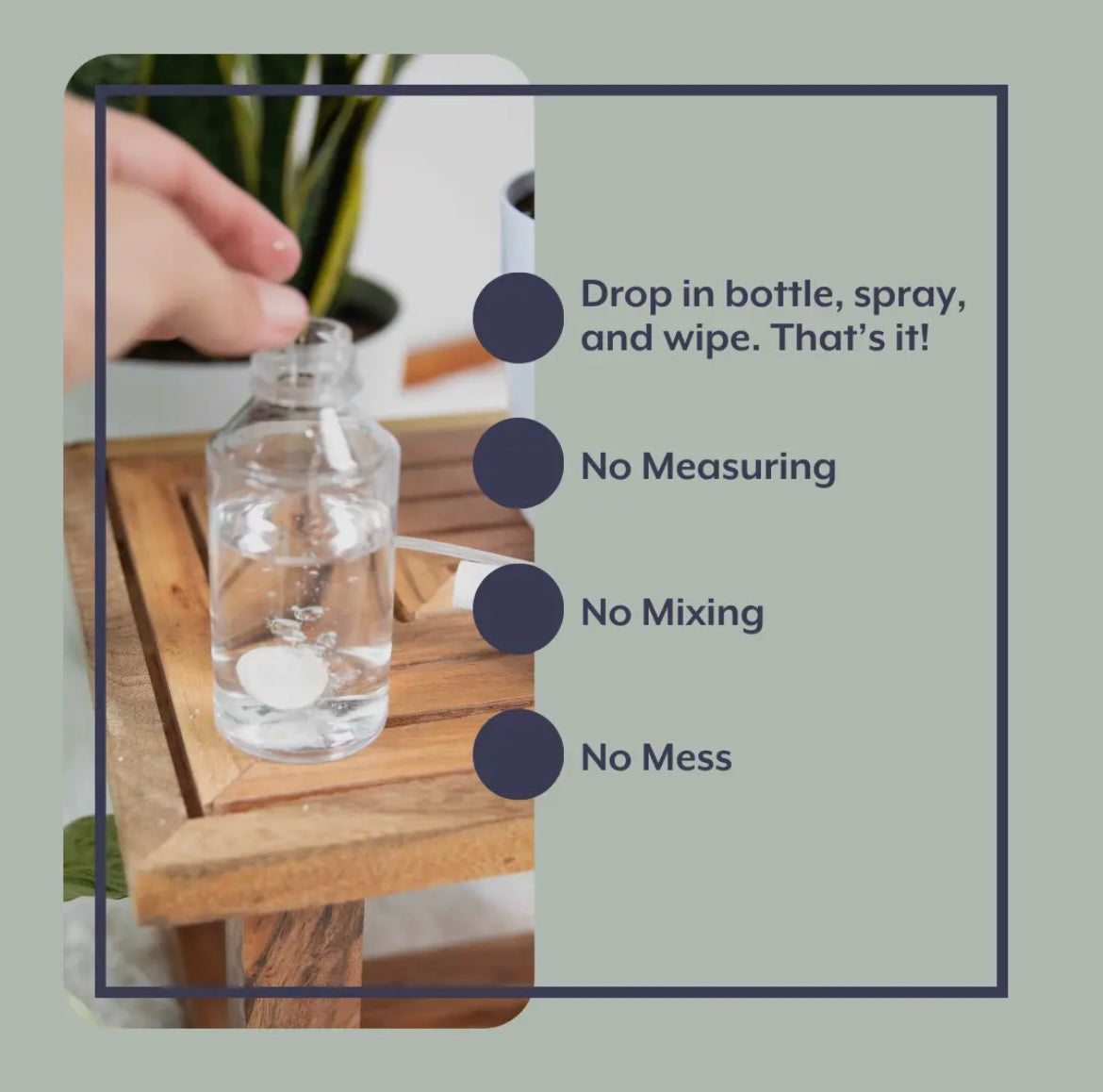 Natural Houseplant Pest Control - Peppermint Leaf