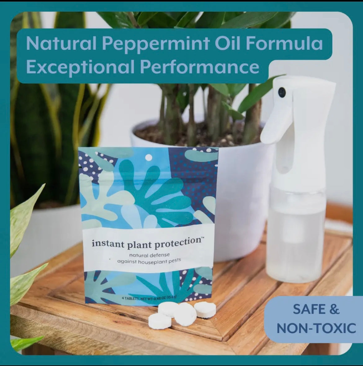 Natural Houseplant Pest Control - Peppermint Leaf