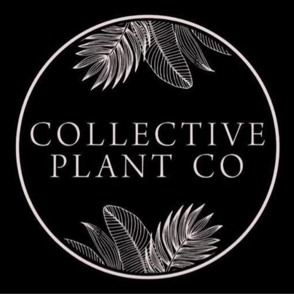 Collective Plant Co. Gift card