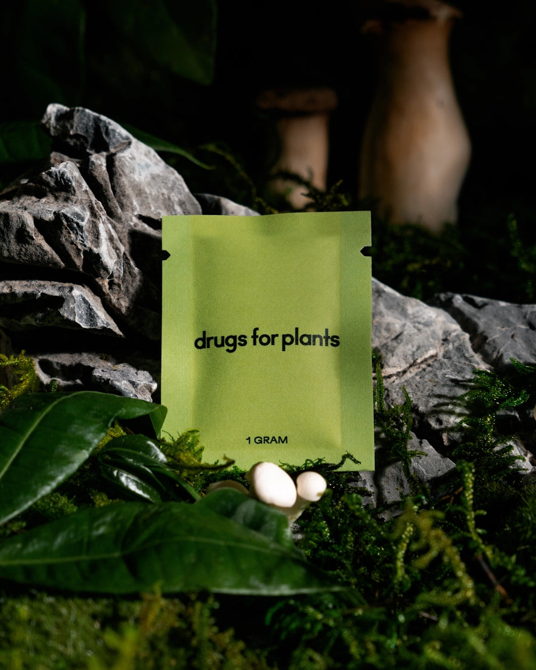 Drugs for Plants - Organic Fertilizer Powder 1G