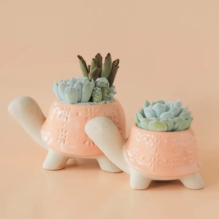 Turtle Planter | Sunset - Medium