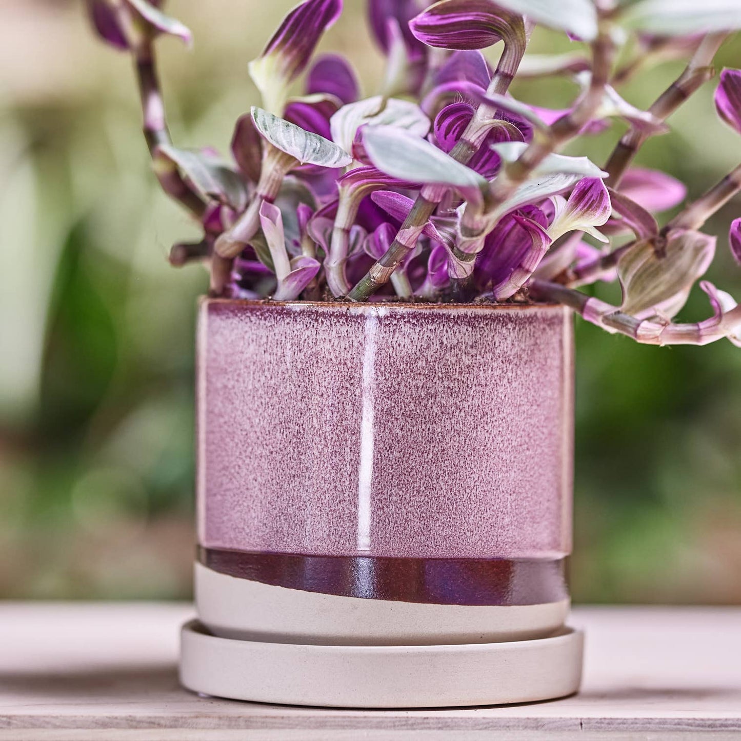 Burgundy Ceramic Pot