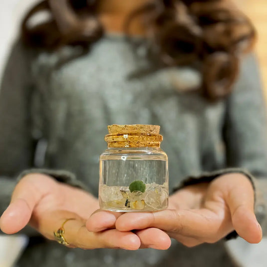 Small Golden Quartz Moss Ball Terrarium