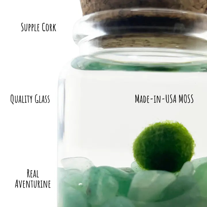 Small Aventurine Moss Ball Terrarium