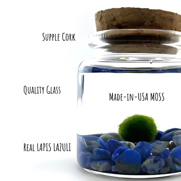 Small Lapis Lazuli Gemstones Moss Ball Terrarium