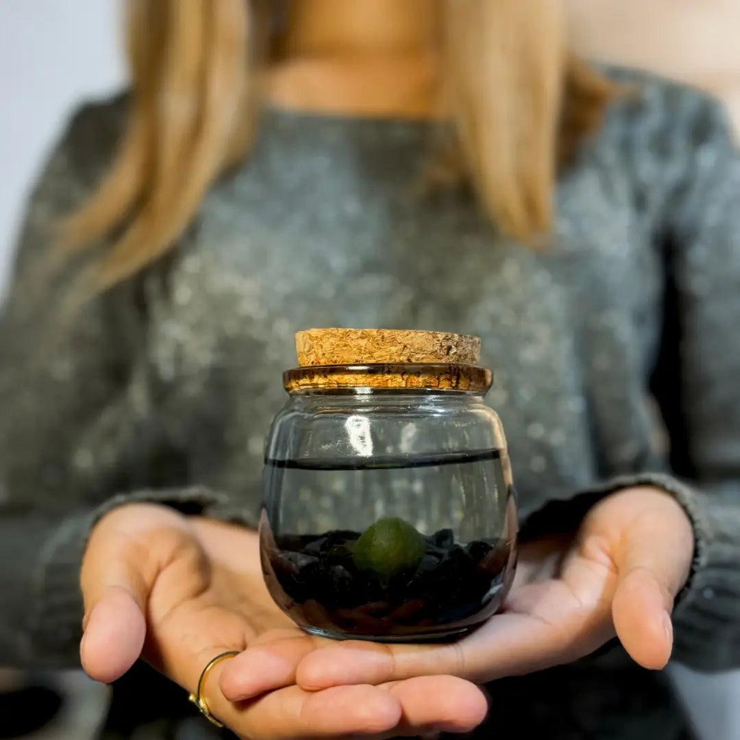 Medium Obsidian Gemstones Moss Ball Terrarium