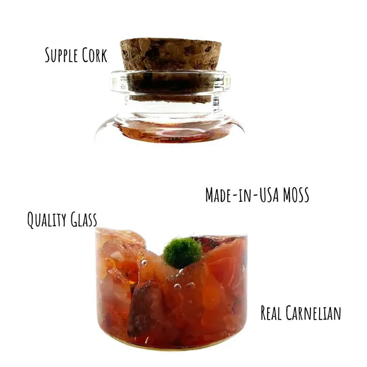 Tiny Carnelian Gemstones Moss Ball Terrarium