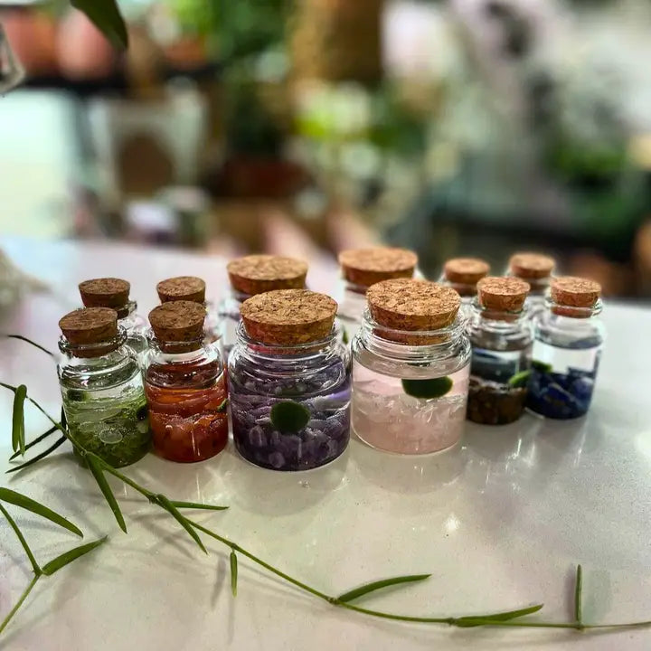 Small Rose Quartz Moss Ball Terrarium