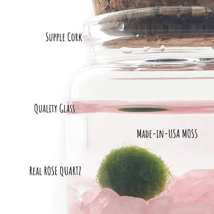 Small Rose Quartz Moss Ball Terrarium