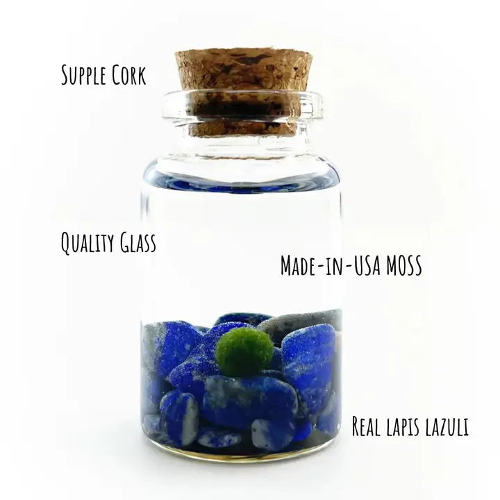 Tiny Lapis Lazuli Gemstones Moss Ball Terrarium