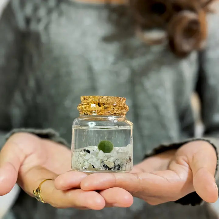 Small Moonstone Moss Ball Terrarium