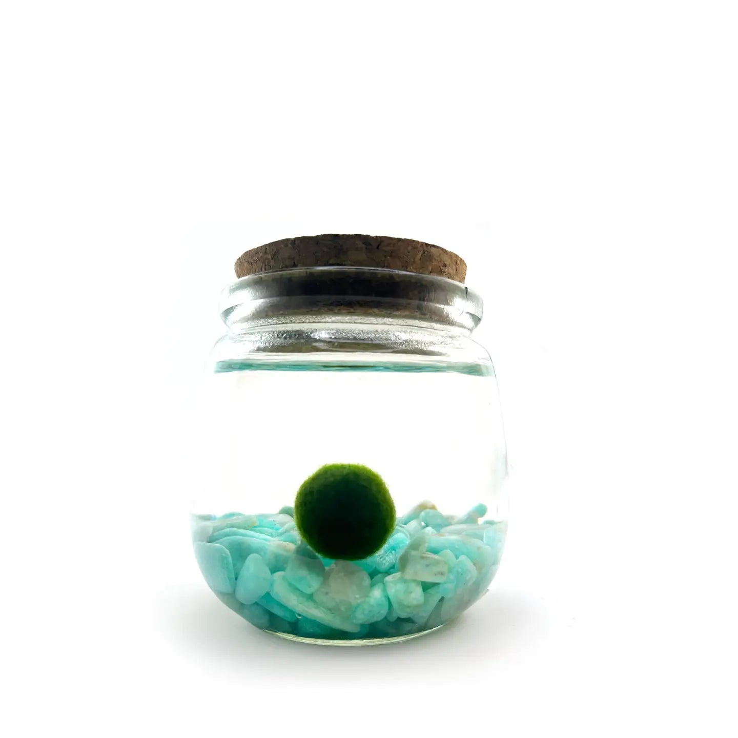 Medium Amazonite Moss Ball Terrarium