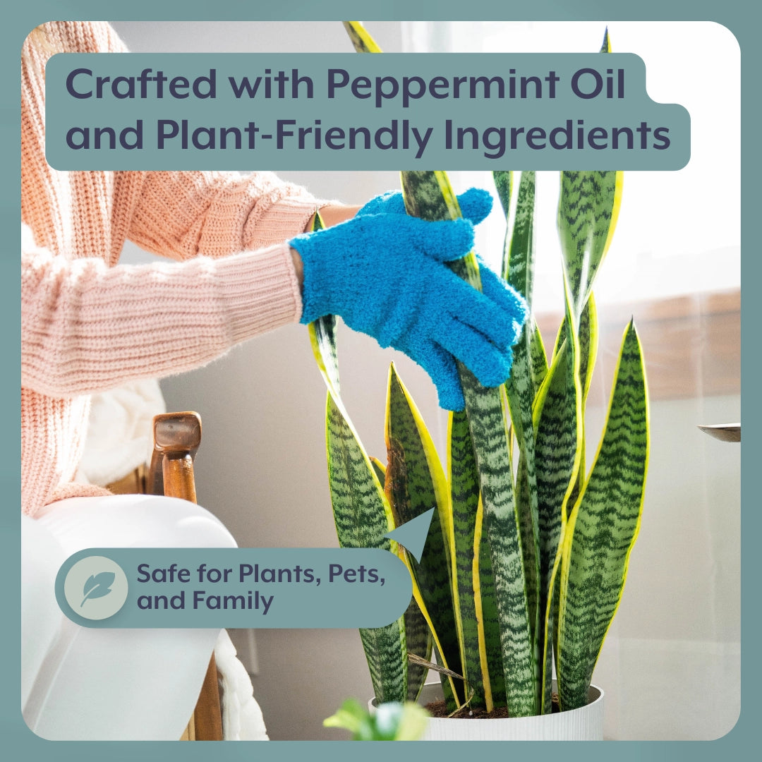 Natural Houseplant Pest Control - Peppermint Leaf