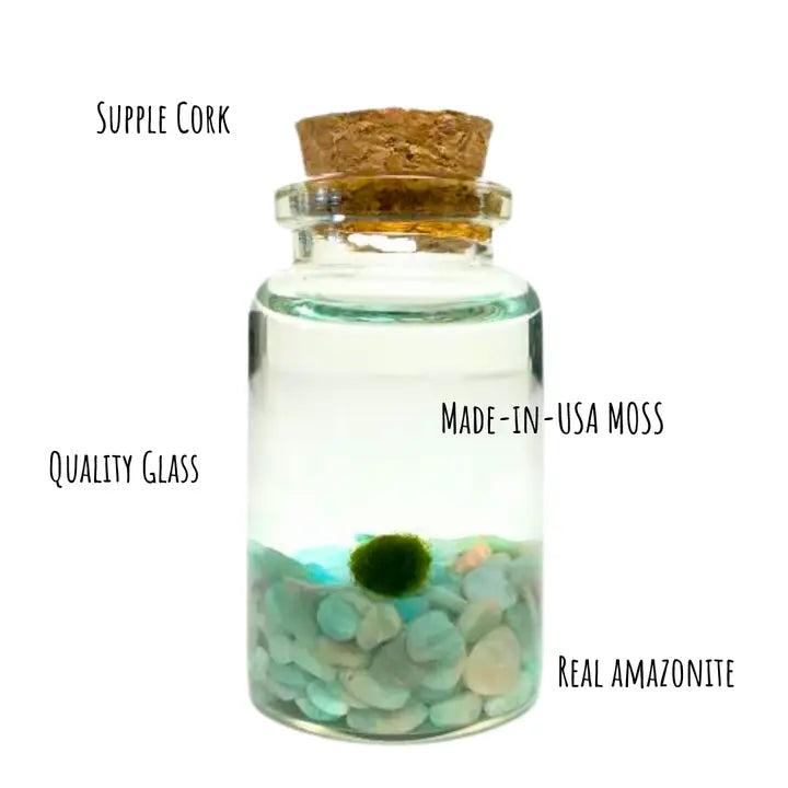 Tiny Amazonite Gemstones Moss Ball Terrarium