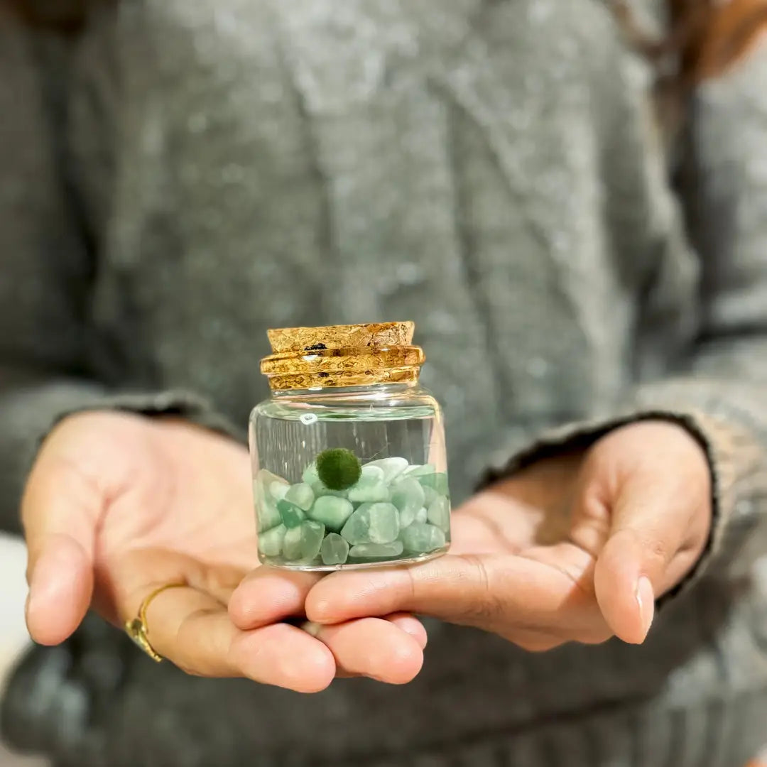 Small Amazonite Moss Ball Terrarium