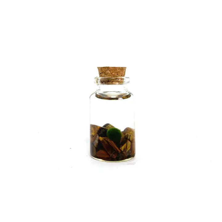 Tiny Tiger Eye Gemstone Moss Ball Terrarium