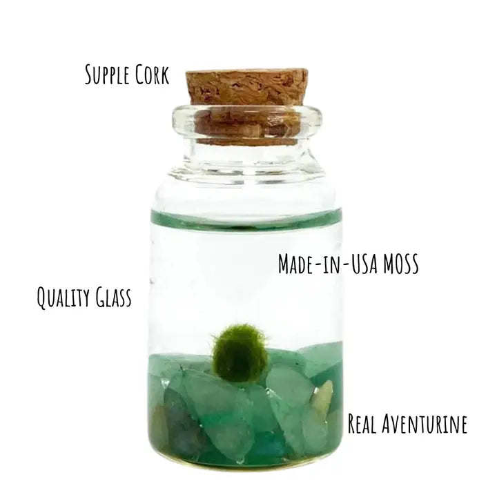Tiny Aventurine Gemstones Moss Ball Terrarium