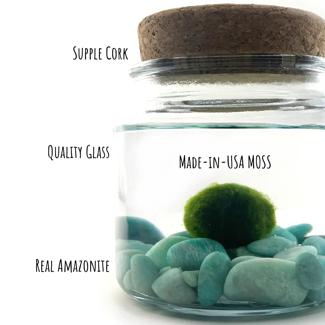Large Amazonite Moss Ball Terrarium