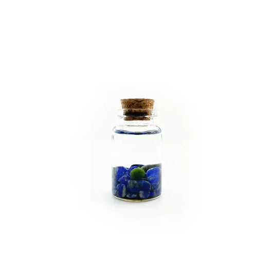 Tiny Lapis Lazuli Gemstones Moss Ball Terrarium