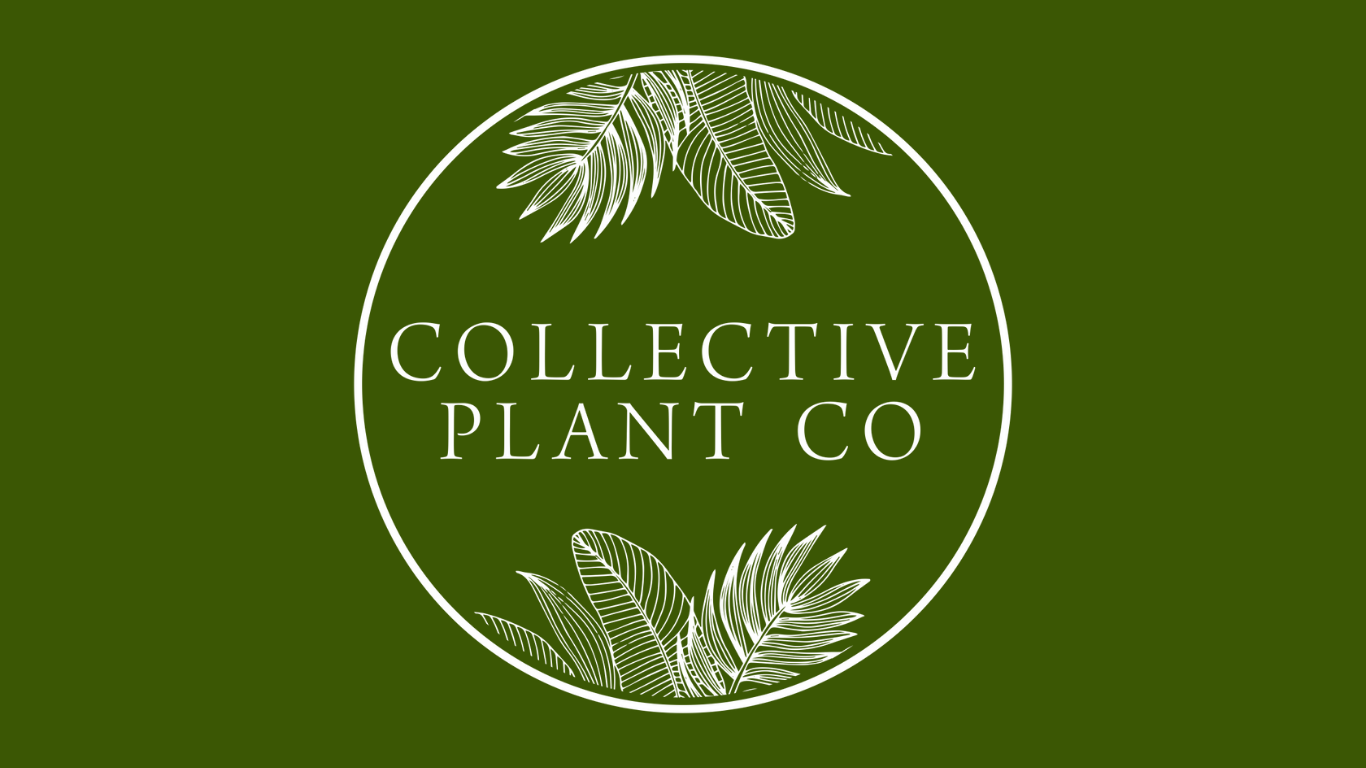 In Store Mobile Plant Shop