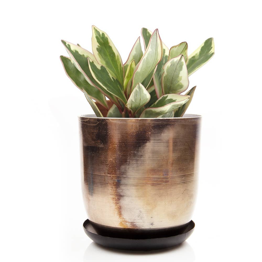 Metal Pot with Drainage Hole Saucer