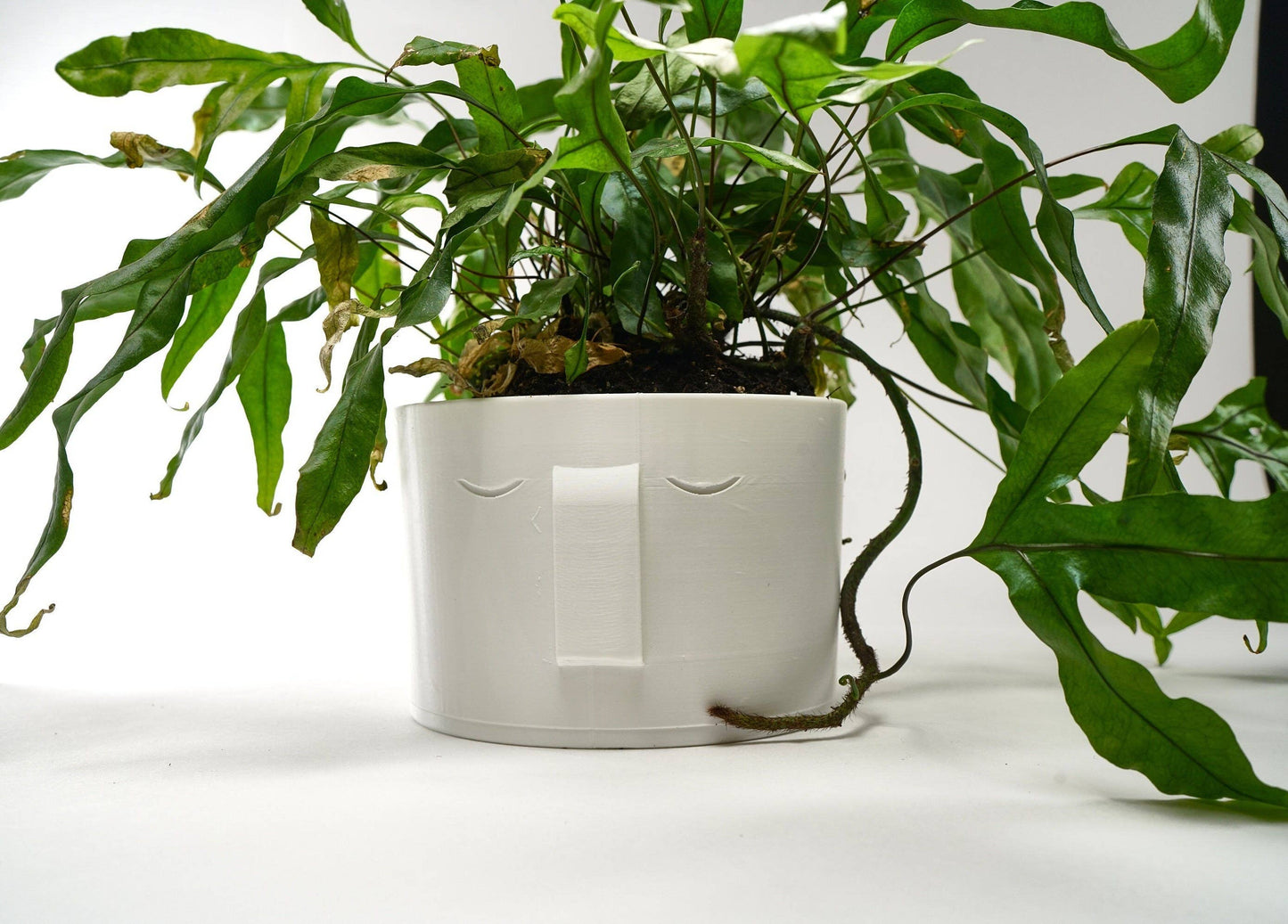 Nordic Face Planter, Bohemian House Planters, 3D Printed Pla